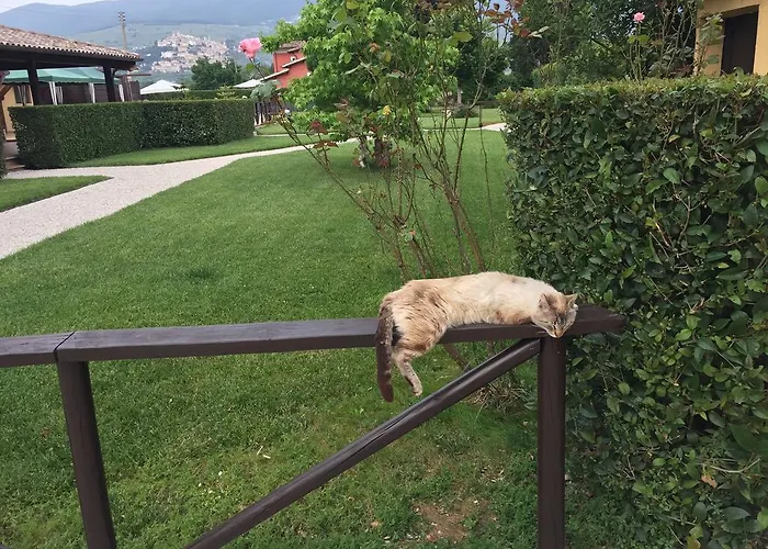 Casale San Fedele トレビ